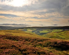 Durham Dales 20 RGF