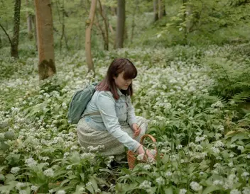 Gemma Cramlington Forager 41