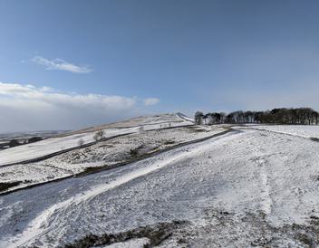 PXL 20210208 135240810