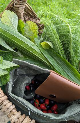 Wildfood