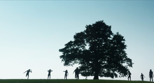 V1 0005 yrl dtlr1 t 4k rec709 full 88136