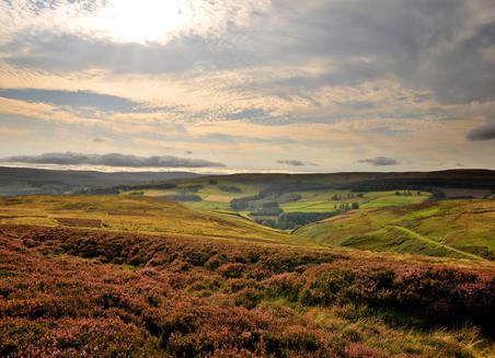 Durham Dales 20 RGF